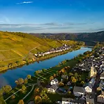 Moselappartements By Weingut Marco Adamy Apartamento