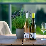 Moselappartements By Weingut Marco Adamy *