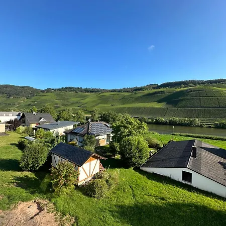 公寓 Moselappartements By Weingut Marco Adamy 鲁斯尼希