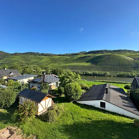 公寓 Moselappartements By Weingut Marco Adamy *