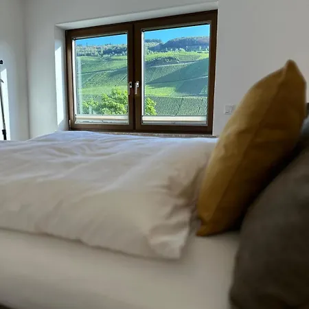 Moselappartements By Weingut Marco Adamy