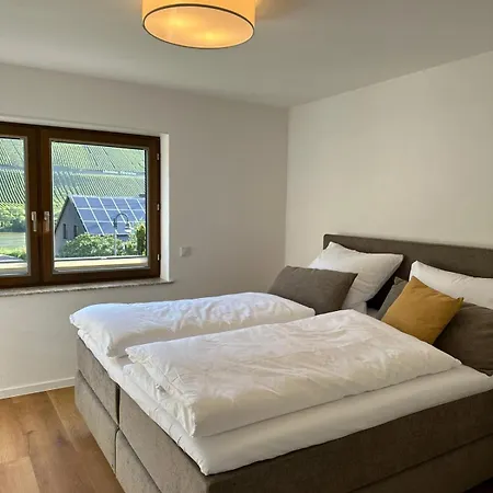 公寓 Moselappartements By Weingut Marco Adamy 鲁斯尼希