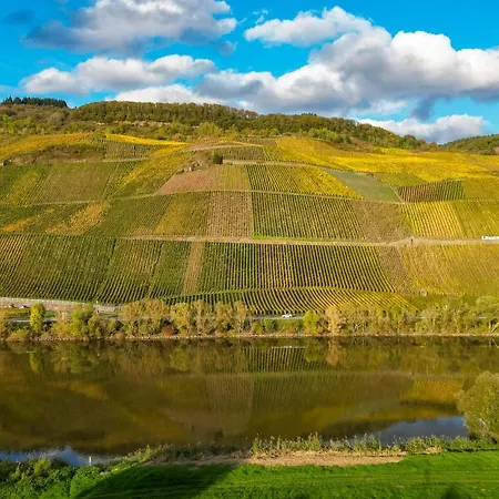 Moselappartements By Weingut Marco Adamy 鲁斯尼希