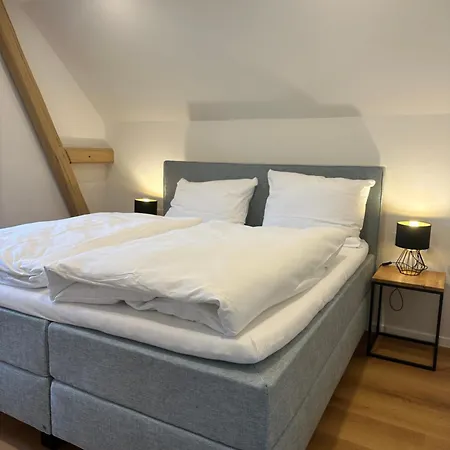 Moselappartements By Weingut Marco Adamy 鲁斯尼希