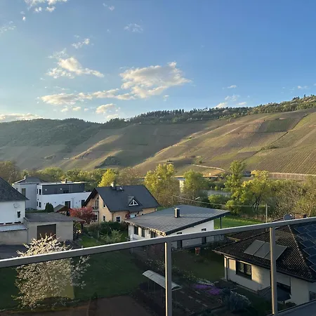 公寓 Moselappartements By Weingut Marco Adamy 鲁斯尼希