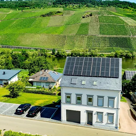 Moselappartements By Weingut Marco Adamy 鲁斯尼希