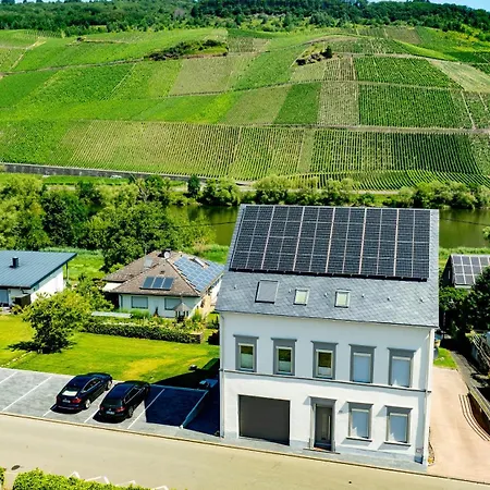 Moselappartements By Weingut Marco Adamy لوسنيش