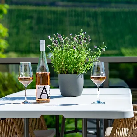 Apartmán Moselappartements By Weingut Marco Adamy *