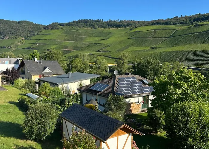 Apartamento Moselappartements By Weingut Marco Adamy Lösnich