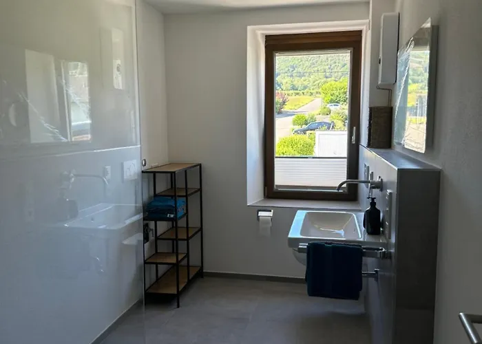 公寓 Moselappartements By Weingut Marco Adamy 鲁斯尼希