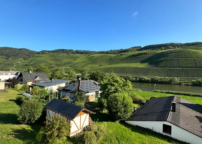 Apartamento Moselappartements By Weingut Marco Adamy Lösnich