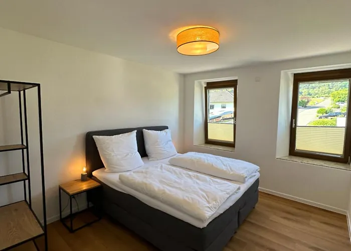 Moselappartements By Weingut Marco Adamy 鲁斯尼希