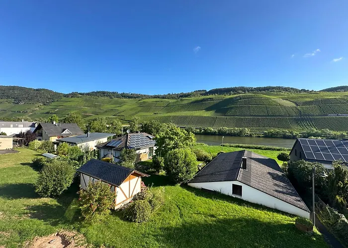 公寓 Moselappartements By Weingut Marco Adamy *