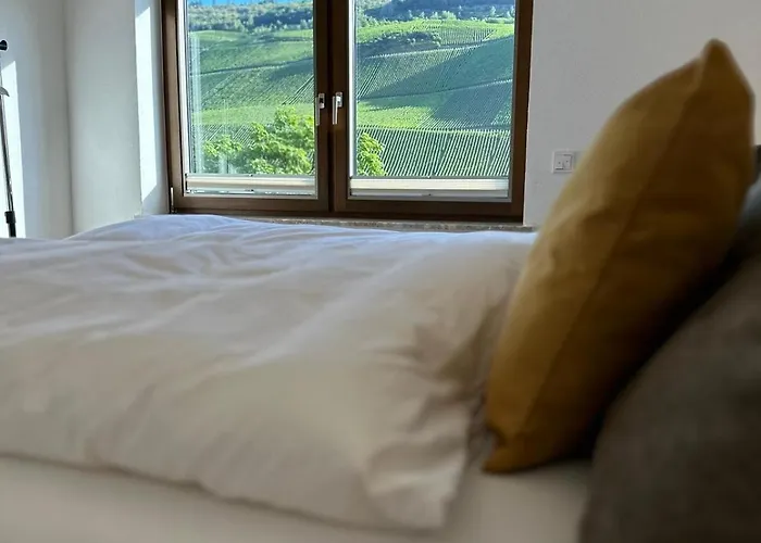 Moselappartements By Weingut Marco Adamy