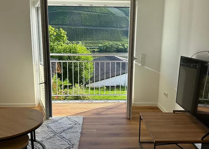 公寓 Moselappartements By Weingut Marco Adamy *