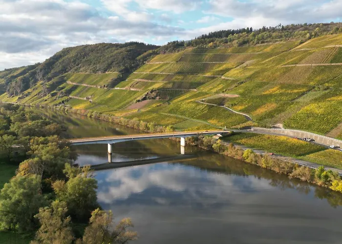 Moselappartements By Weingut Marco Adamy Apartamento