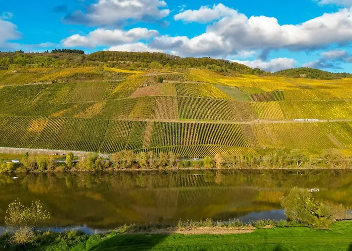 Moselappartements By Weingut Marco Adamy 鲁斯尼希