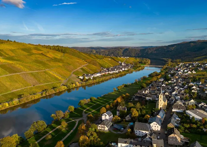 Moselappartements By Weingut Marco Adamy Apartamento