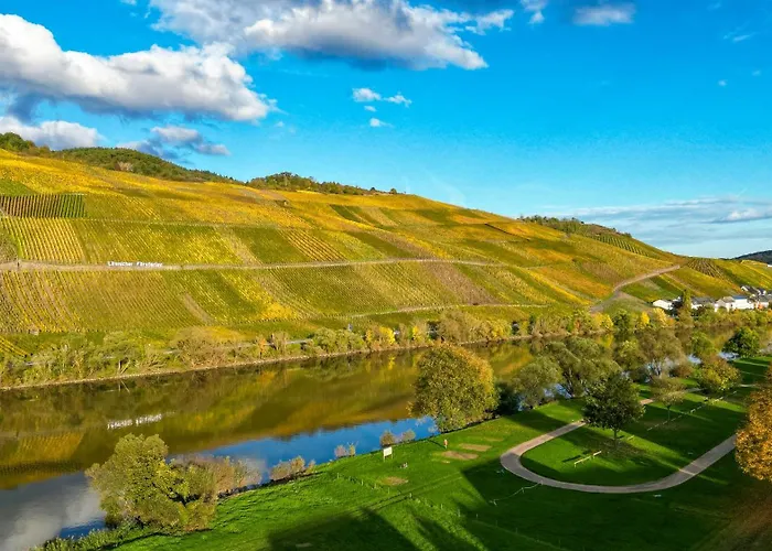 Apartamento Moselappartements By Weingut Marco Adamy Lösnich