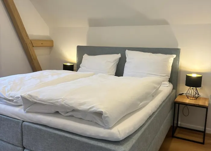 Moselappartements By Weingut Marco Adamy 鲁斯尼希