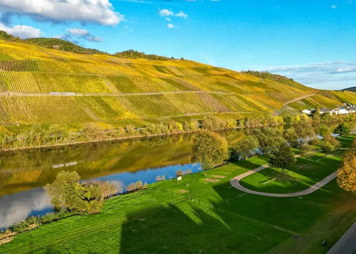 Moselappartements By Weingut Marco Adamy Apartamento