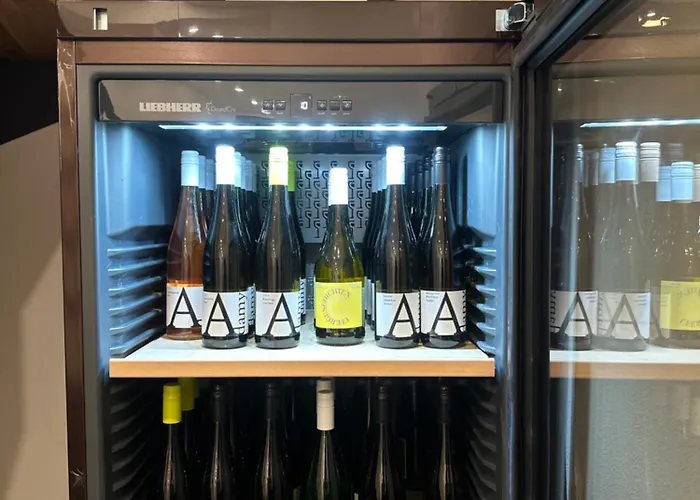 Apartamento Moselappartements By Weingut Marco Adamy *