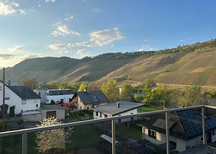 公寓 Moselappartements By Weingut Marco Adamy 鲁斯尼希