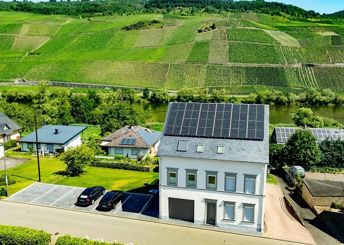 Moselappartements By Weingut Marco Adamy Lösnich